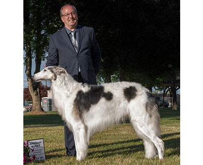 Top AKC NOHS Borzoi 2018